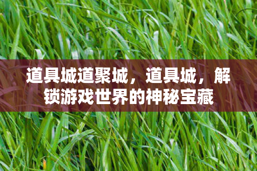道具城道聚城，道具城，解锁游戏世界的神秘宝藏