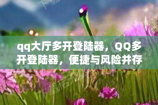 便捷与风险并存的使用体验图片