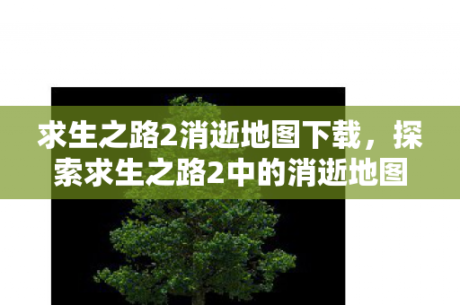 求生之路2消逝地图下载，探索求生之路2中的消逝地图，未知的挑战与冒险