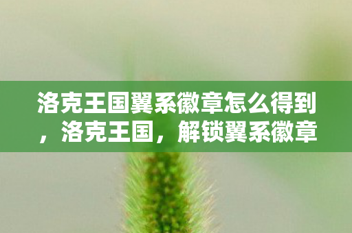 洛克王国翼系徽章怎么得到,洛克王国,解锁翼系徽章的终极攻略 洛克王国翼系徽章怎么得到,洛克王国,解锁翼系徽章的终极攻略