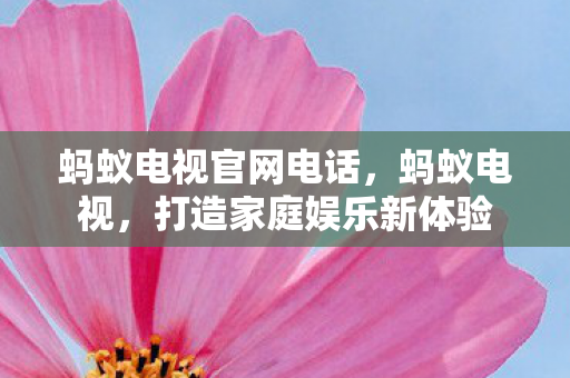 蚂蚁电视官网电话,蚂蚁电视,打造家庭娱乐新体验 蚂蚁电视官网电话,蚂蚁电视,打造家庭娱乐新体验
