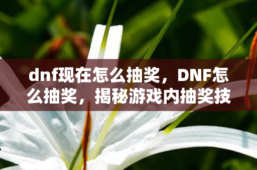 dnf现在怎么抽奖,DNF怎么抽奖,揭秘游戏内抽奖技巧与策略 dnf现在怎么抽奖,DNF怎么抽奖,揭秘游戏内抽奖技巧与策略