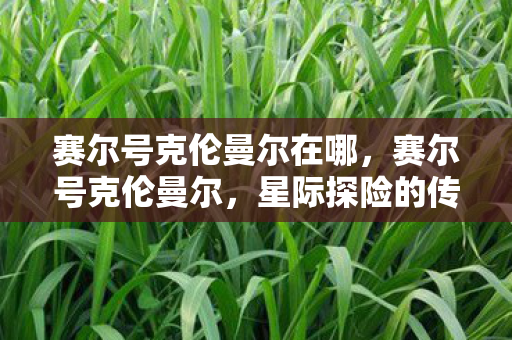 赛尔号克伦曼尔在哪，赛尔号克伦曼尔，星际探险的传奇之旅