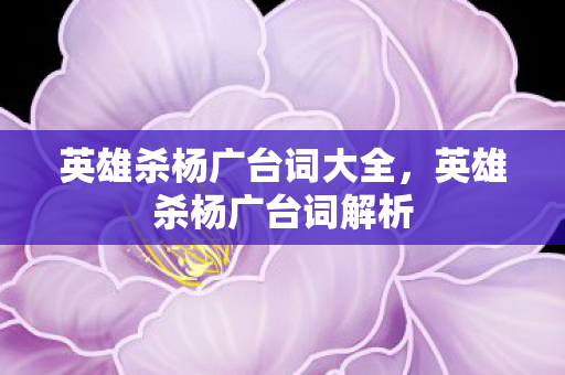 英雄杀杨广台词大全，英雄杀杨广台词解析