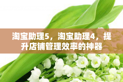 淘宝助理5,淘宝助理4,提升店铺管理效率的神器 淘宝助理5,淘宝助理4,提升店铺管理效率的神器