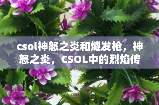 csol神怒之炎和燧发枪,神怒之炎,CSOL中的烈焰传奇 csol神怒之炎和燧发枪,神怒之炎,CSOL中的烈焰传奇