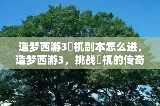 造梦西游3梼杌副本怎么进，造梦西游3，挑战梼杌的传奇之旅