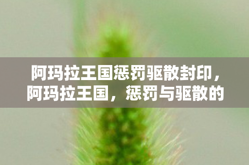 阿玛拉王国惩罚驱散封印，阿玛拉王国，惩罚与驱散的力量