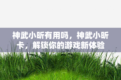 神武小昕有用吗,神武小昕卡,解锁你的游戏新体验 神武小昕有用吗,神武小昕卡,解锁你的游戏新体验