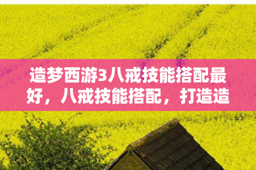造梦西游3八戒技能搭配最好，八戒技能搭配，打造造梦西游3中的最强肉盾