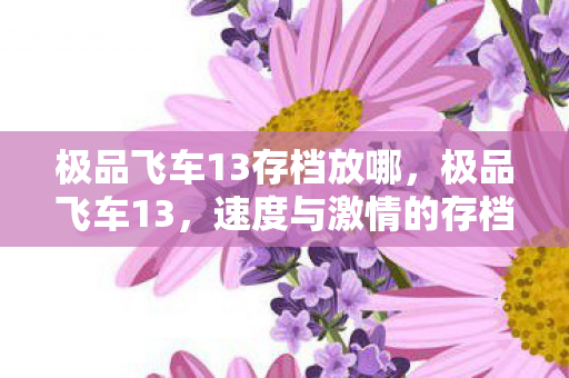 极品飞车13存档放哪，极品飞车13，速度与激情的存档之旅