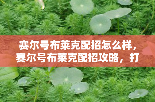 赛尔号布莱克配招怎么样，赛尔号布莱克配招攻略，打造最强战斗阵容