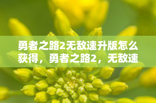 勇者之路2无敌速升版怎么获得，勇者之路2，无敌速升版——解锁你的冒险之旅