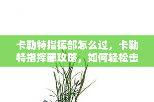 卡勒特指挥部怎么过,卡勒特指挥部攻略,如何轻松击败这个BOSS 卡勒特指挥部怎么过,卡勒特指挥部攻略,如何轻松击败这个BOSS