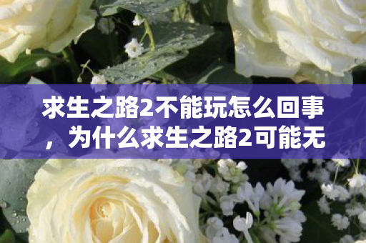 求生之路2不能玩怎么回事，为什么求生之路2可能无法运行？解决方案与排查步骤