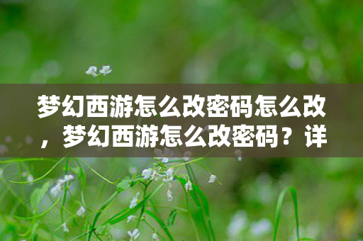 梦幻西游怎么改密码怎么改，梦幻西游怎么改密码？详细步骤与注意事项