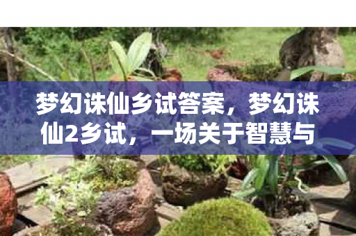 梦幻诛仙乡试答案,梦幻诛仙2乡试,一场关于智慧与勇气的试炼 梦幻诛仙乡试答案,梦幻诛仙2乡试,一场关于智慧与勇气的试炼