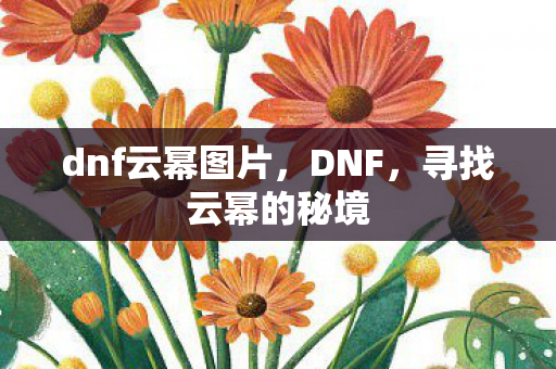 dnf云幂图片，DNF，寻找云幂的秘境