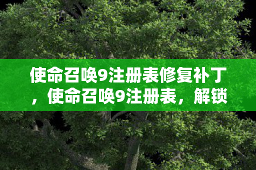 使命召唤9注册表修复补丁，使命召唤9注册表，解锁游戏隐藏功能的神秘钥匙