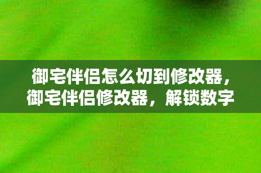 御宅伴侣怎么切到修改器，御宅伴侣修改器，解锁数字娱乐的新维度