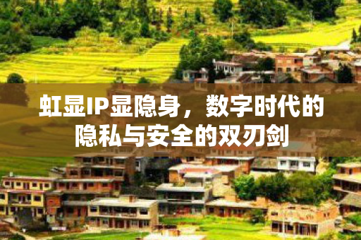 虹显IP显隐身，数字时代的隐私与安全的双刃剑