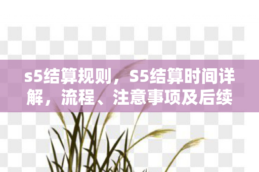 s5结算规则，S5结算时间详解，流程、注意事项及后续操作指南