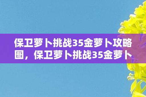 保卫萝卜挑战35金萝卜攻略图，保卫萝卜挑战35金萝卜攻略