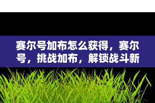 赛尔号加布怎么获得，赛尔号，挑战加布，解锁战斗新策略