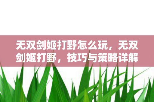 无双剑姬打野怎么玩，无双剑姬打野，技巧与策略详解