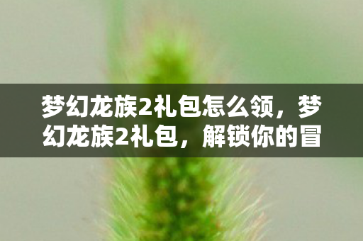 梦幻龙族2礼包怎么领，梦幻龙族2礼包，解锁你的冒险之旅