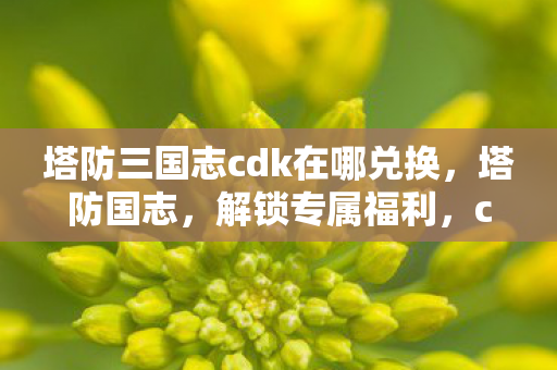 塔防三国志cdk在哪兑换,塔防国志,解锁专属福利,cdk兑换攻略 塔防三国志cdk在哪兑换,塔防国志,解锁专属福利,cdk兑换攻略