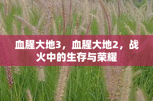 血腥大地3,血腥大地2,战火中的生存与荣耀 血腥大地3,血腥大地2,战火中的生存与荣耀