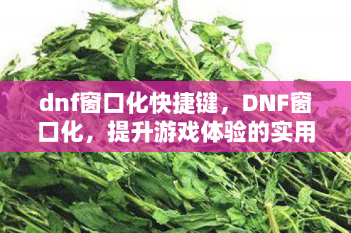 dnf窗口化快捷键，DNF窗口化，提升游戏体验的实用技巧