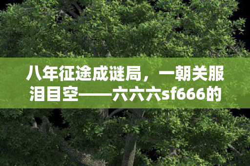 六六六sf666的消逝之殇图片