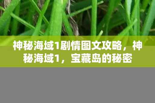 神秘海域1剧情图文攻略，神秘海域1，宝藏岛的秘密