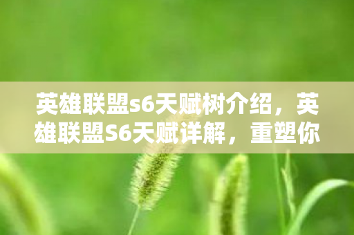 英雄联盟s6天赋树介绍，英雄联盟S6天赋详解，重塑你的英雄之路