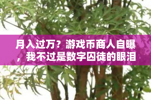 月入过万？游戏币商人自曝，我不过是数字囚徒的眼泪