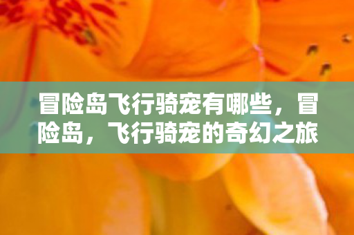 冒险岛飞行骑宠有哪些，冒险岛，飞行骑宠的奇幻之旅