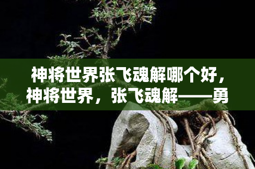 神将世界张飞魂解哪个好，神将世界，张飞魂解——勇武与智慧的化身