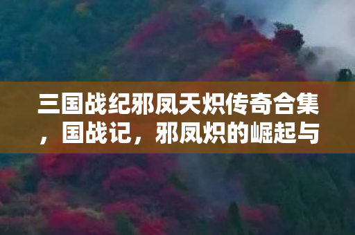 三国战纪邪凤天炽传奇合集,国战记,邪凤炽的崛起与陨落 三国战纪邪凤天炽传奇合集,国战记,邪凤炽的崛起与陨落