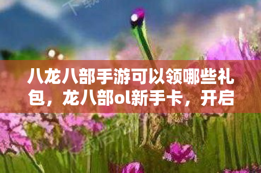 八龙八部手游可以领哪些礼包,龙八部ol新手卡,开启你的武侠之旅 八龙八部手游可以领哪些礼包,龙八部ol新手卡,开启你的武侠之旅
