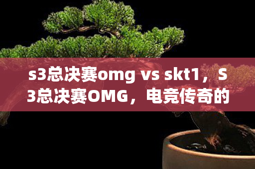 s3总决赛omg vs skt1，S3总决赛OMG，电竞传奇的巅峰之战