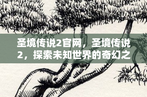 圣境传说2官网，圣境传说2，探索未知世界的奇幻之旅