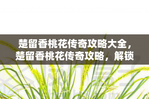 楚留香桃花传奇攻略大全，楚留香桃花传奇攻略，解锁浪漫江湖之旅