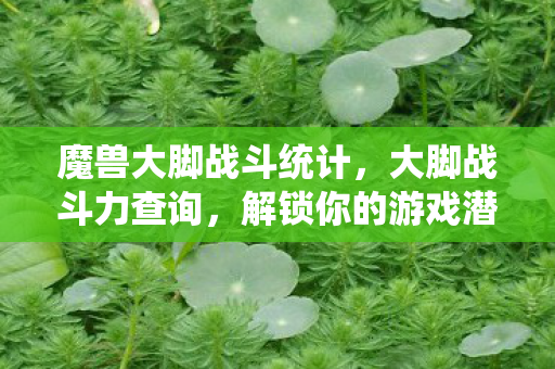 魔兽大脚战斗统计图片