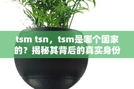tsm tsn，tsm是哪个国家的？揭秘其背后的真实身份