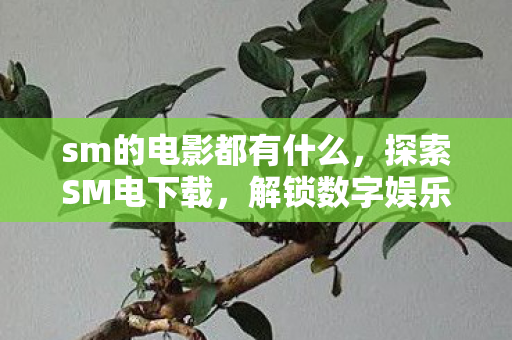 sm的电影都有什么,探索SM电下载,解锁数字娱乐的新世界 sm的电影都有什么,探索SM电下载,解锁数字娱乐的新世界