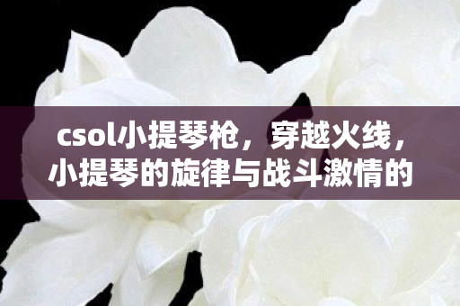 csol小提琴枪，穿越火线，小提琴的旋律与战斗激情的交响曲