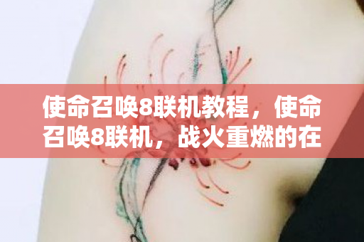 使命召唤8联机教程，使命召唤8联机，战火重燃的在线对战体验