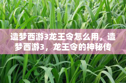 造梦西游3龙王令怎么用,造梦西游3,龙王令的神秘传说 造梦西游3龙王令怎么用,造梦西游3,龙王令的神秘传说